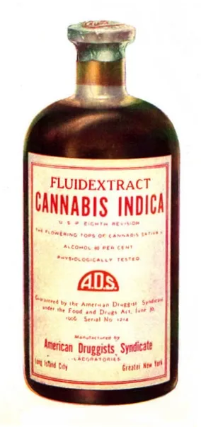Label Literacy: What the Words on Your Weed Actually Mean (And What They're Hiding)