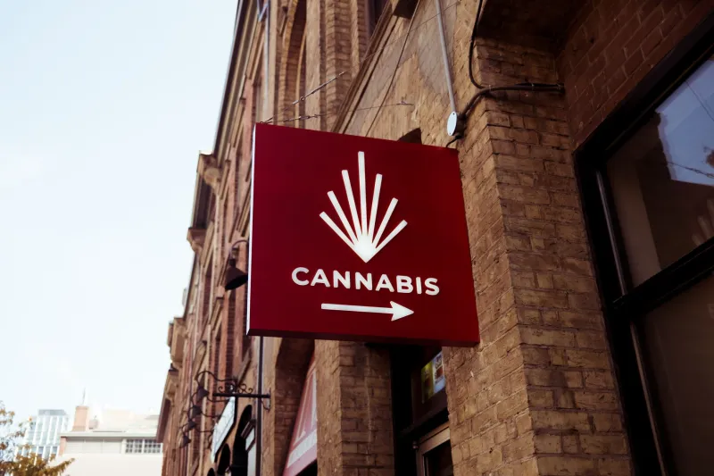 Locals Last: How Cannabis Tourism Is Quietly Pricing Out the People Who Fought for Legalization