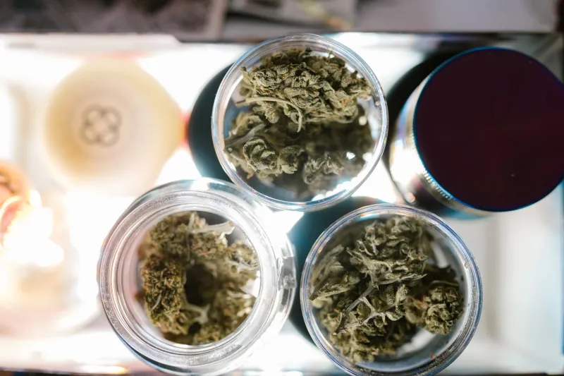 What's Actually in That Bag? The Dirty Secret Behind Strain Names and How to Find the Truth