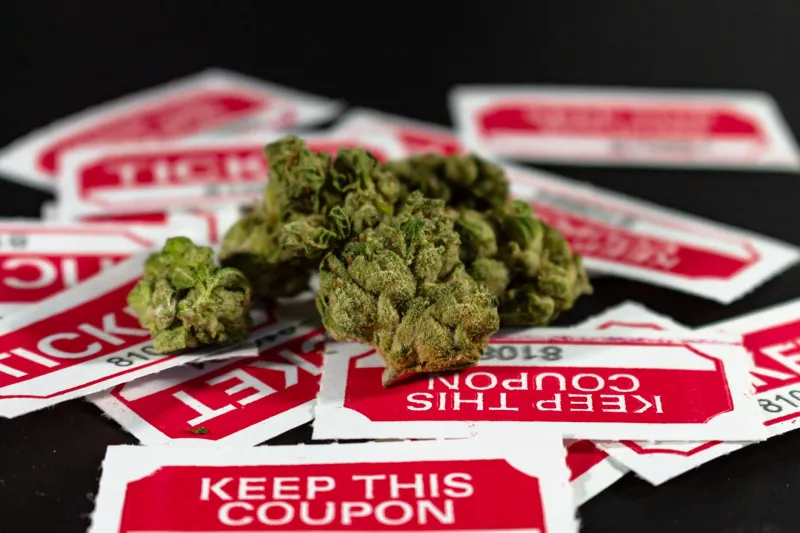More THC, More Problems: The Cannabis Potency Myth Nobody in the Industry Wants to Talk About